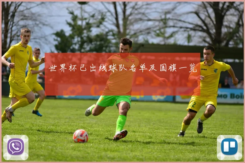 世界杯已出线球队名单及国旗一览