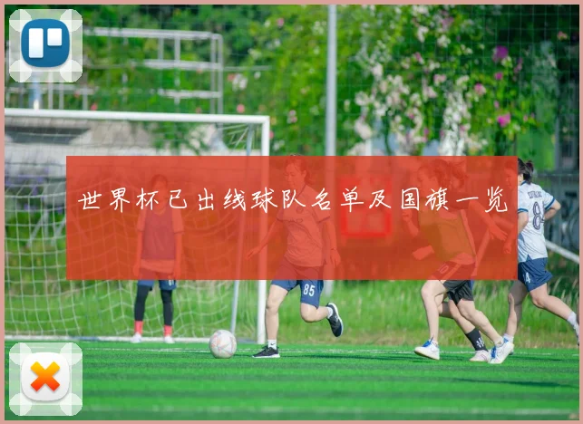世界杯已出线球队名单及国旗一览